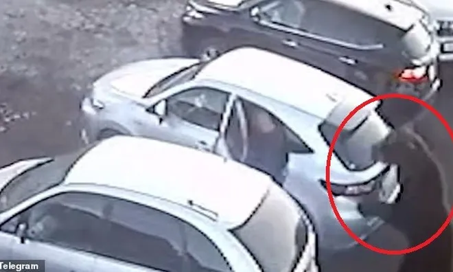 Camera ghi lại cảnh tượng kinh hoàng: Gấu đen khổng lồ lao vào tấn công khiến cụ bà 84 tuổi tử vong