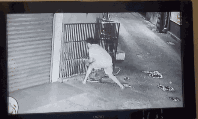 Giận dữ vì tiếng sủa của chú chó nhà hàng xóm, người đàn ông 35 tuổi gây ra thảm cảnh khiến cả cộng đồng phẫn nộ