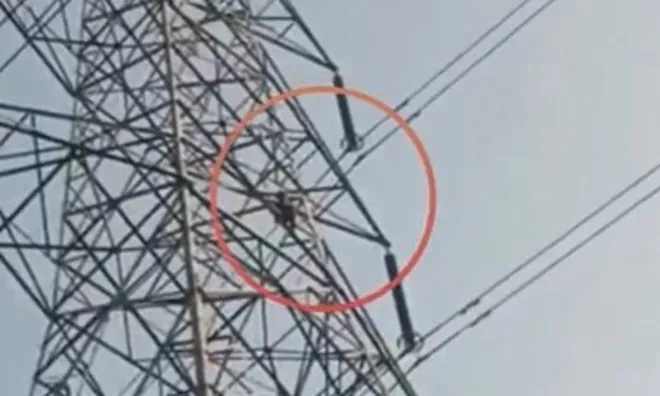 Clip: Nam thanh niên leo cột điện sau khi bị từ chối kết hôn