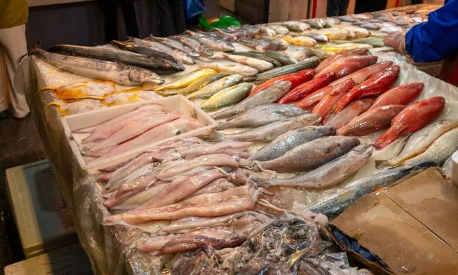 Nuốt sống mật cá để chữa đau đầu và cái kết