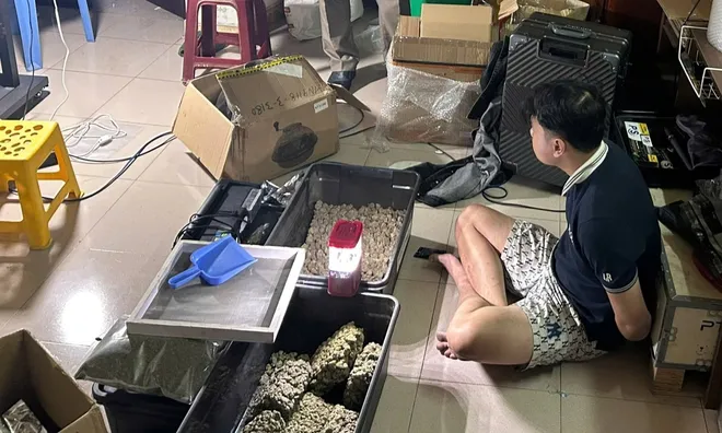 Đột kích căn nhà cho thuê, phát hiện nam thanh niên sinh năm 2003 trồng, tàng trữ, mua bán cần sa quy mô lớn