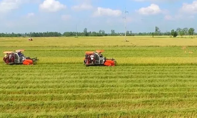 Quy định về hỗ trợ khi thu hồi đất nông nghiệp