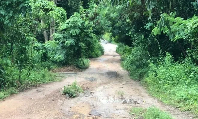 Vụ con trai sát hại mẹ, chém trọng thương chị gái ở TP.HCM: Nghi phạm là người thế nào?