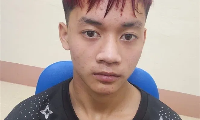 Bắt giữ Trần Trọng Hiếu