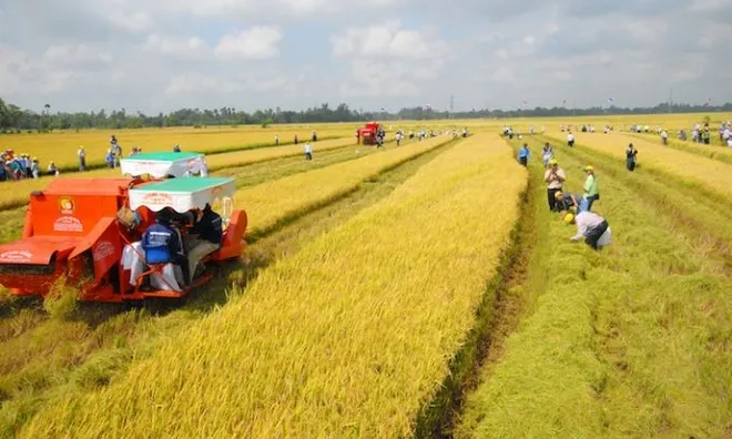 Từ 01/01/2026, miễn thuế sử dụng đất nông nghiệp cho một số đối tượng đến năm 2030