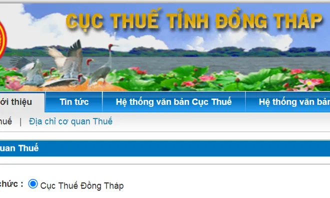 Đồng Tháp: XNK Khánh Thu nợ thuế "dai dẳng" hơn 10 tỷ đồng