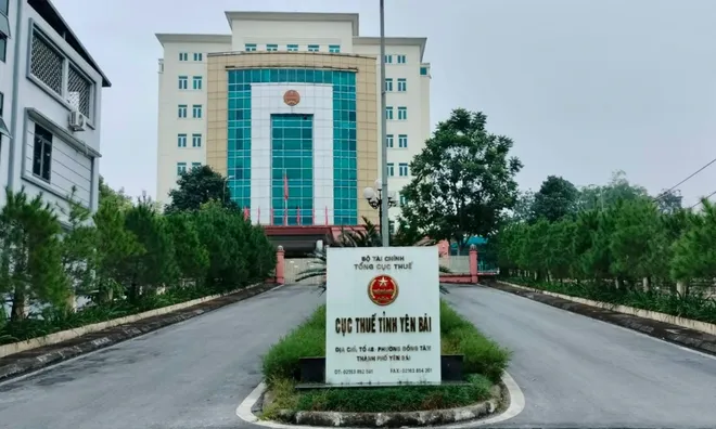 Yên Bái: Lâm trường Lục Yên nhận "trát" phạt vì nợ thuế 24,5 tỷ đồng