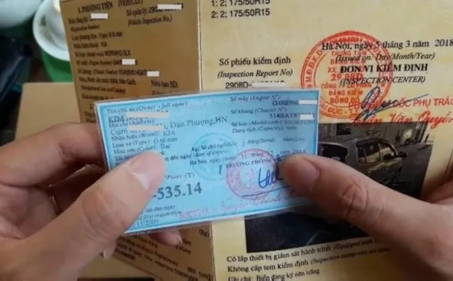 Cà vẹt xe là gì? Không có cà vẹt bị xử phạt như thế nào?