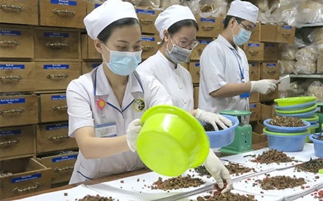 Nghiêm cấm lợi ích nhóm khi tổ chức đấu thầu mua sắm thuốc, vật tư y tế