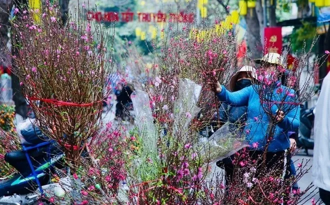 Thủ tướng đồng ý Tết Nguyên đán Ất Tỵ nghỉ 9 ngày, từ 25/1 đến 2/2/2025