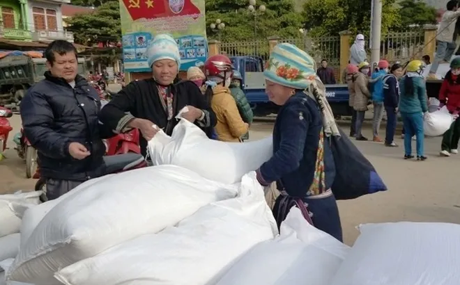 Hỗ trợ gạo cho tỉnh Gia Lai dịp Tết Nguyên đán Ất Tỵ