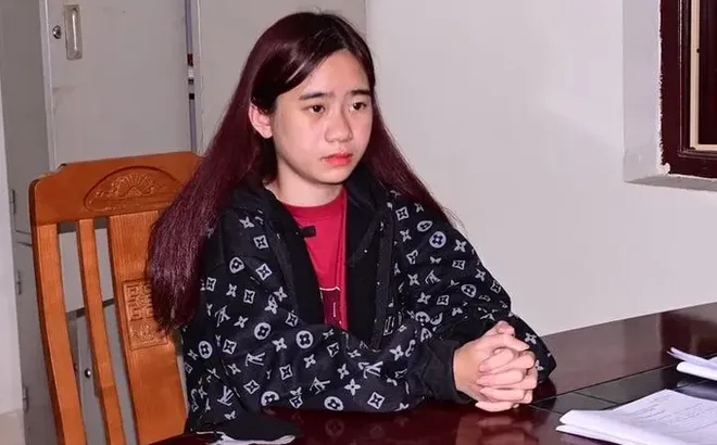 Tạm giữ người phụ nữ dẫn bé gái 4 tuổi ra khỏi trường mầm non, đình chỉ hai giáo viên