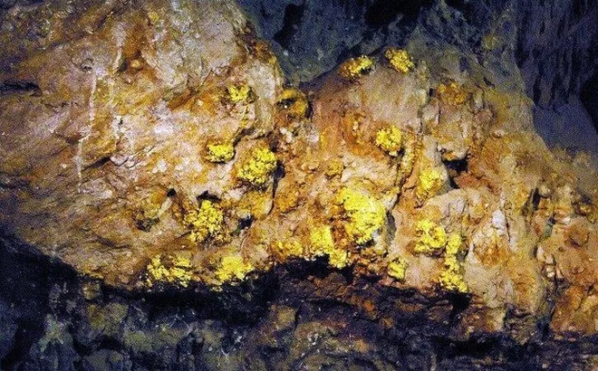 Phát hiện mỏ vàng với trữ lượng khổng lồ 168 tấn