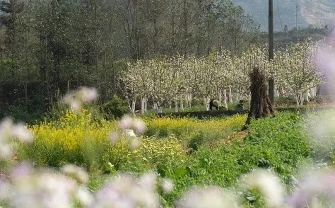 Gợi ý những địa điểm vui chơi, ăn uống dịp Giỗ Tổ và 30/4-1/5?