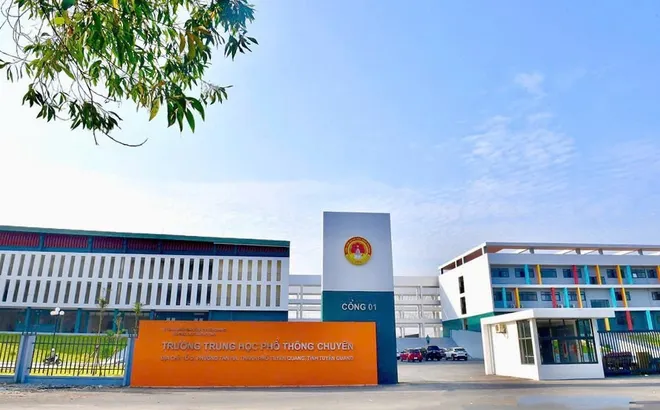 Vụ điểm Toán bất thường ở Trường THPT chuyên Tuyên Quang: Bộ GD&ĐT nói gì về đề xuất tổ chức thi lại?
