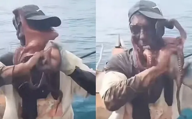 Clip: Khoảnh khắc bạch tuộc quấn kín mặt ngư dân khiến chiếc thuyền chao đảo, ai xem cũng phỉa “nín thở”