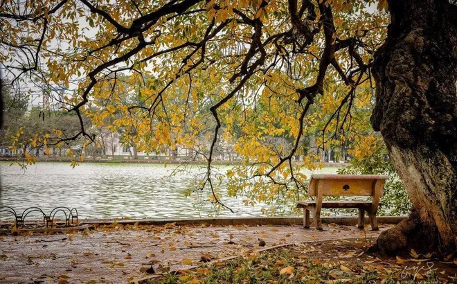 Tin thời tiết mới nhất ngày 7/11: Bắc Bộ hanh khô, Trung Bộ mưa lớn tiếp diễn