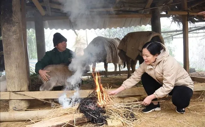 Dự báo thời tiết 11/3/2026: Những nơi nào rét tới 11 độ?