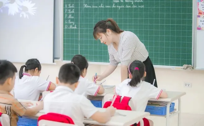 Giáo viên tiểu học hạng 2 phải đáp ứng tiêu chuẩn về năng lực chuyên môn, nghiệp vụ thế nào?
