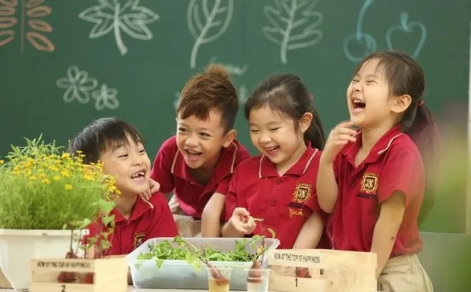 Thực hiện phổ cập giáo dục mầm non cho trẻ em từ 5 đến 6 tuổi, giáo dục bắt buộc và xóa mù chữ từ 01/11/2026 theo nguyên tắc nào?