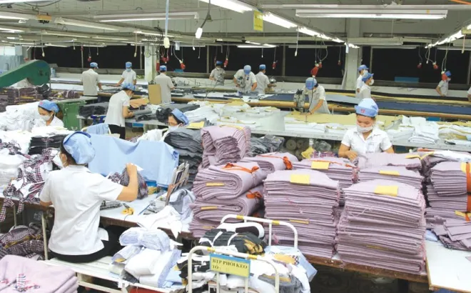 Còn gần 5.500 lao động bị nợ lương hơn 56 tỷ đồng