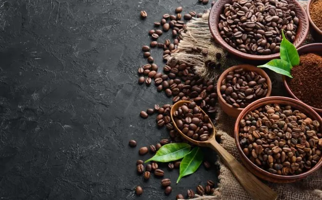 Giá nông sản hôm nay 22/5: Ớt tăng nhẹ, cao su biến động trái chiều, thanh long Bình Thuận giá cao