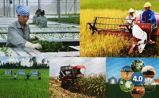 Chỉ đạo điều hành của Chính phủ, Thủ tướng Chính phủ ngày 15/2/2025