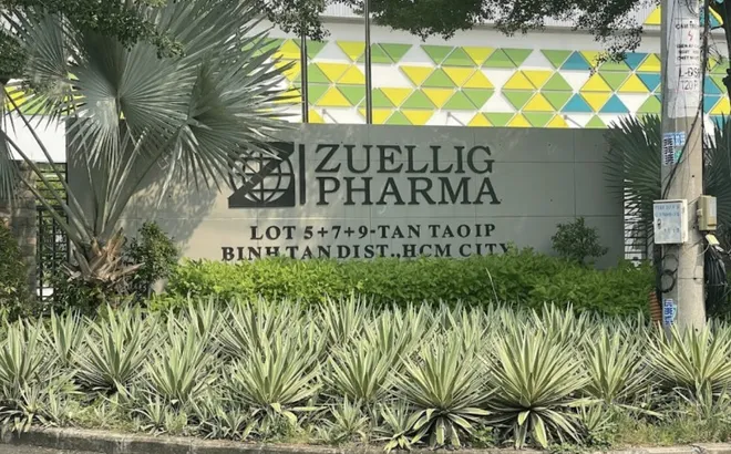 Zuellig Pharma Việt Nam doanh thu 'trượt dốc', bị truy thu thuế 27 tỷ