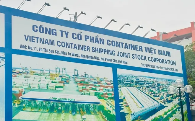 Chỉnh lại số liệu, Viconship bị giảm lợi nhuận hơn 127 tỷ đồng