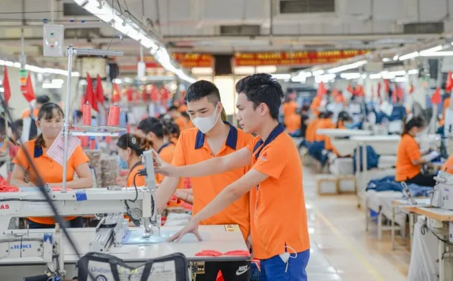 Tăng cường quản lý nguyên liệu đầu vào, ngăn chặn gian lận xuất xứ