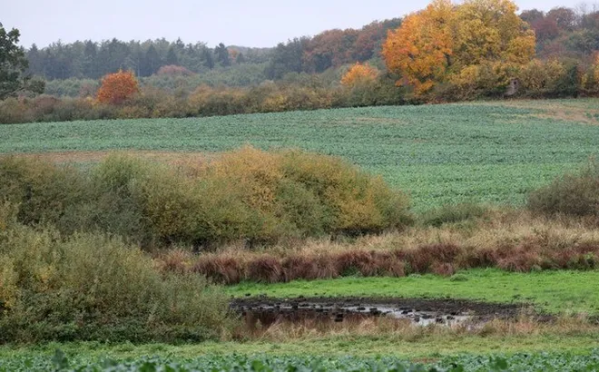 Phát hiện thi thể bé trai 8 tuổi bên bờ ao, người mẹ tiết lộ "linh cảm không lành"