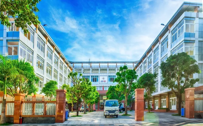 Công ty Điện lực Bà Rịa – Vũng Tàu: Nhiều nhà thầu có tỉ lệ trúng cao