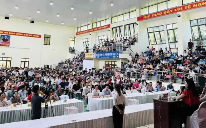 Dừng đấu giá 57 thửa đất tại Thanh Oai (Hà Nội)