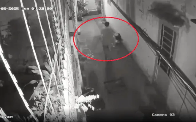 Đẫm nước mắt lời giãi bày của người con trai quấn thi thể mẹ, bỏ ra đường