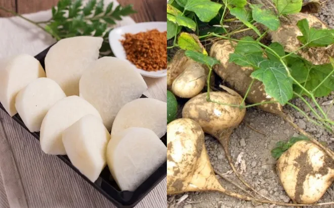 Loại củ bán đầy ngoài chợ vào mùa đông giá rẻ như cho bổ hơn 'nhâm sâm tổ yến' 