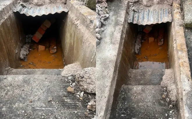 Thấy có 'vật thể lạ' trong vườn, cặp vợ chồng đào xuyên đêm, kinh ngạc phát hiện thứ ẩn giấu bên dưới