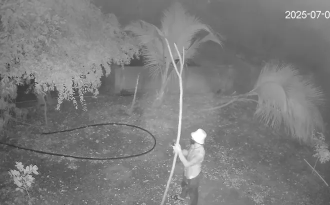 Cip: 1 phút tung hoành của 2 thanh niên, đột nhập nhà dân 2 lần bắt gọn đàn gà