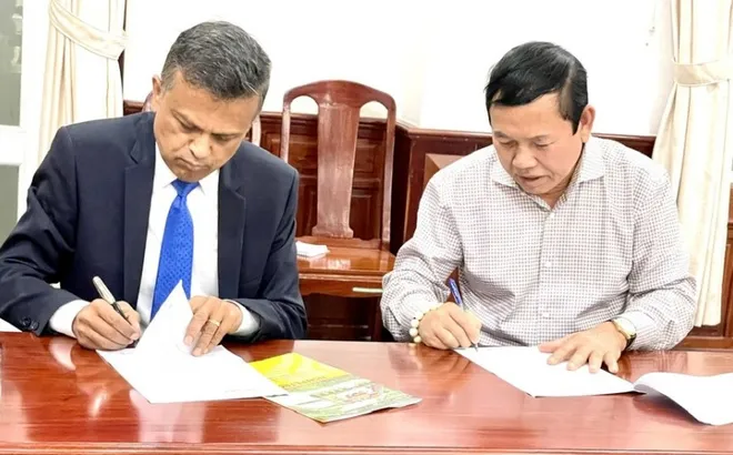 Vì sao Tổng giám đốc Công ty dầu khí Nam Sông Hậu bị bắt?