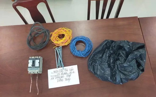 Khởi tố Phạm Hoàng Liên Sơn