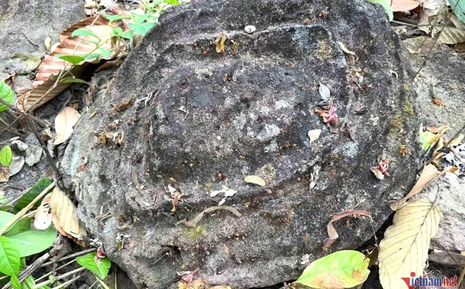 Thích thú ngắm những viên đã có họa tiết lượn sóng, xoắn ốc lạ kỳ ở Vườn quốc gia Yok Đôn (Đắk Lắk)