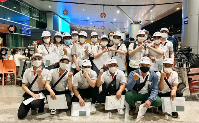 Đi xuất khẩu lao động chưa hết hợp đồng, về nước sớm vẫn được nhận hỗ trợ tới 40-100 triệu? Sự thật khiến nhiều lao động bất ngờ!