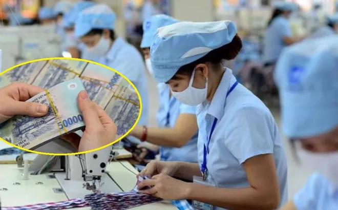 Trường hợp nào về hưu trước tuổi không bị trừ lương hưu?