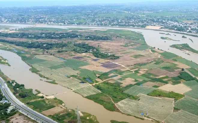 Quảng Ngãi dự kiến thu về hơn 1.670 tỷ đồng từ dự án đảo Ngọc