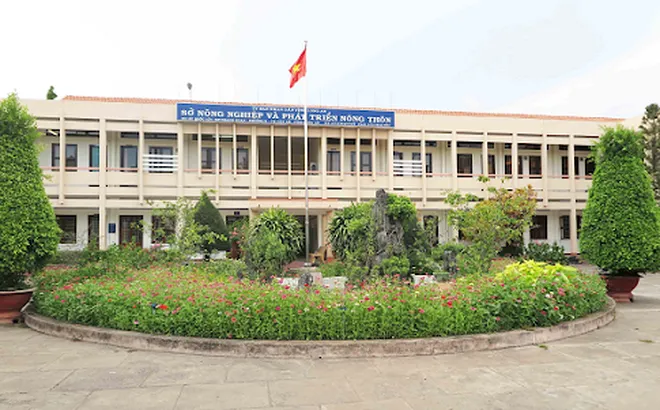 Long An: Thi công chậm tiến độ, công ty Thanh Thế bị chấm dứt hợp đồng