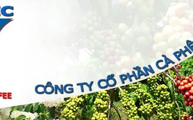 Cổ phiếu bị cảnh báo, PCF đưa ra giải trình và phương án khắc phục