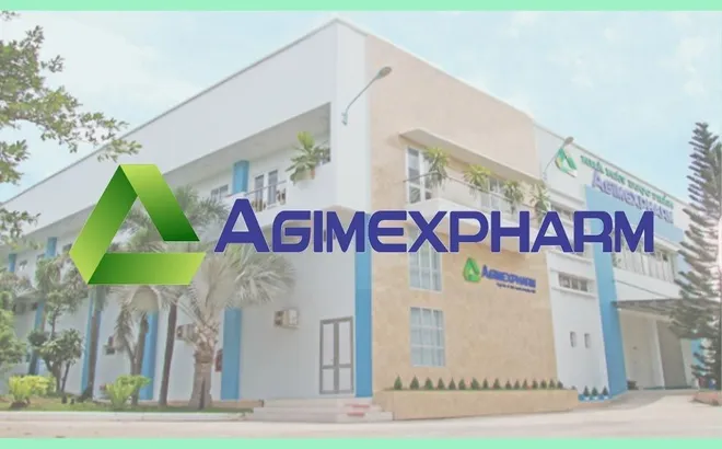 AGP báo lãi đi ngang, vay nợ tăng cao trong năm 2023