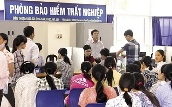 Trường hợp có đóng bảo hiểm thất nghiệp nhưng không được hưởng trợ cấp