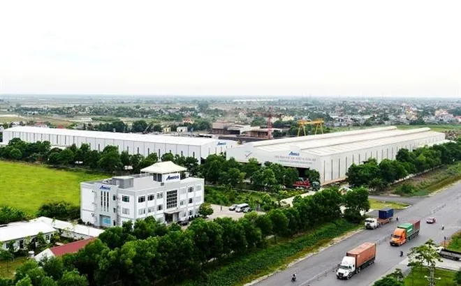 Cơ khí Xây dựng AMECC (AMS) đặt mục tiêu tăng trưởng trong năm 2024, chia cổ tức bằng tiền mặt