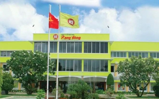 Cổ phiếu bị giữ nguyên diện cảnh báo, Rạng Đông Holding sẽ làm gì?