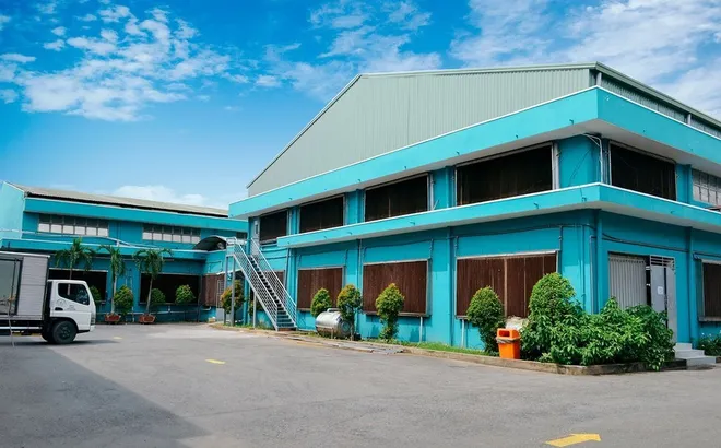 Thay lãnh đạo, Garmex Sài Gòn vẫn thua lỗ triền miên